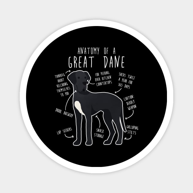 Black Great Dane Dog Anatomy Magnet by Psitta